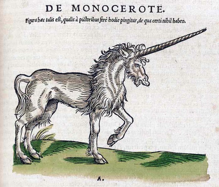コンラート・ゲスナー（1516 – 65） 『動物誌 第1巻 胎生の四足動物について』より、彩色木版画、1551年、チューリッヒ。