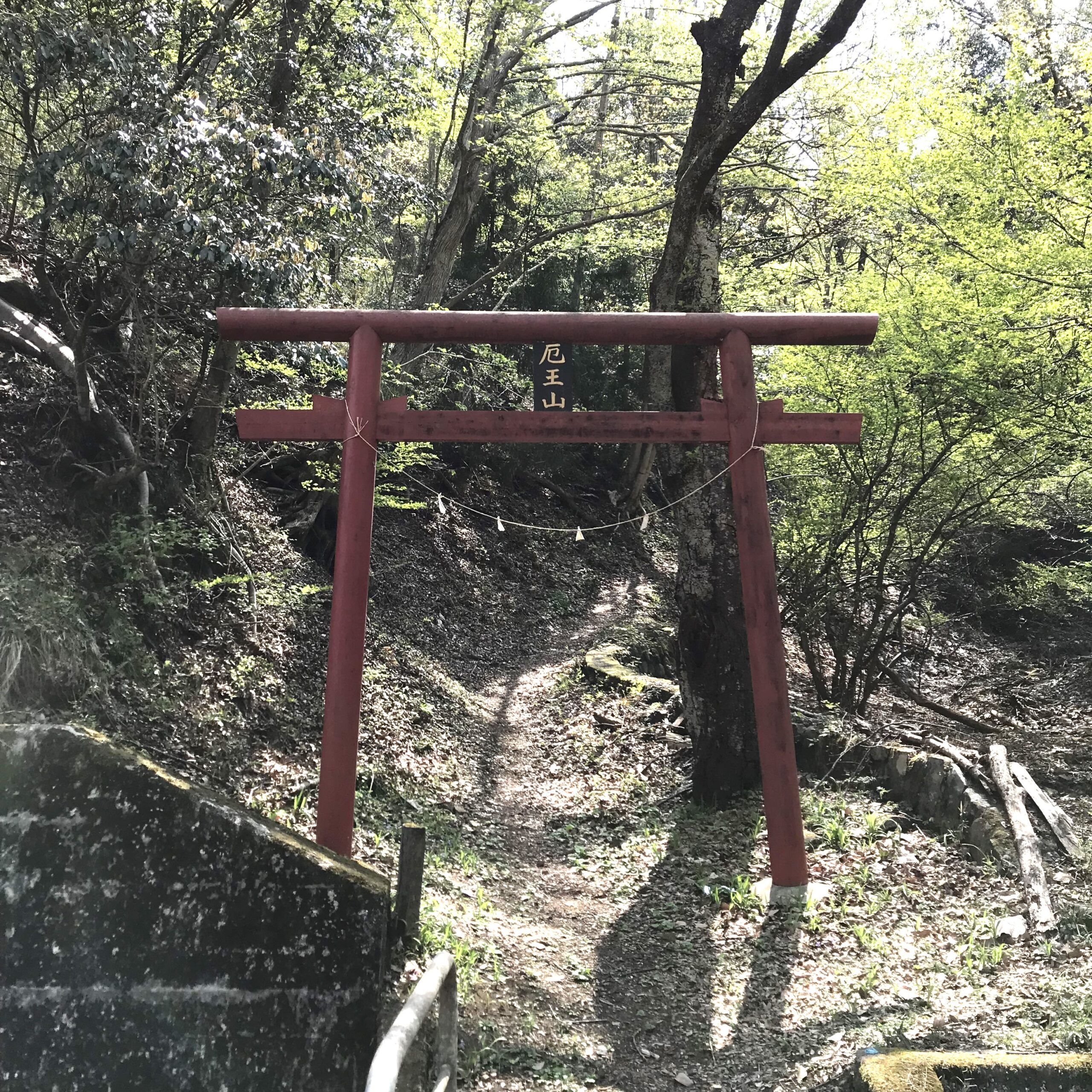 山の入口に立つ鳥居