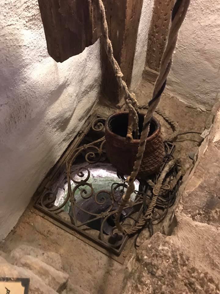 玄関脇の井戸