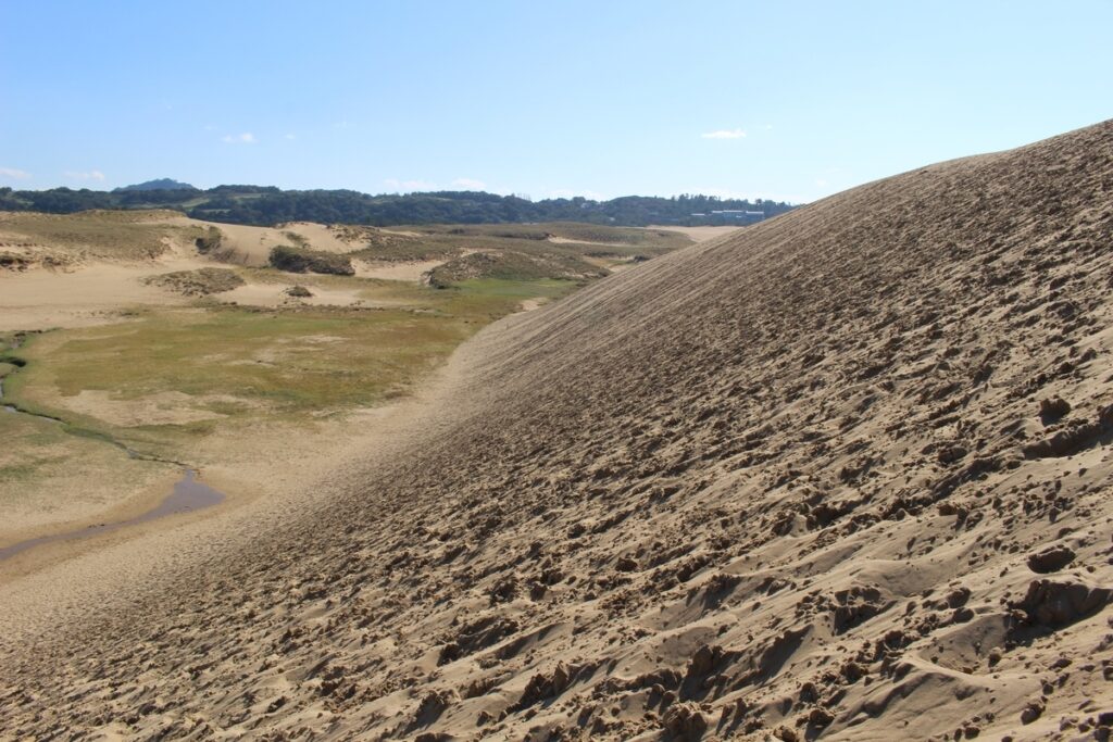 急な砂の坂。足を取られてなかなか進まない。