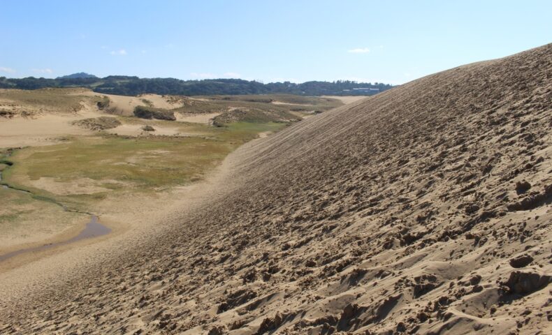 急な砂の坂。足を取られてなかなか進まない。