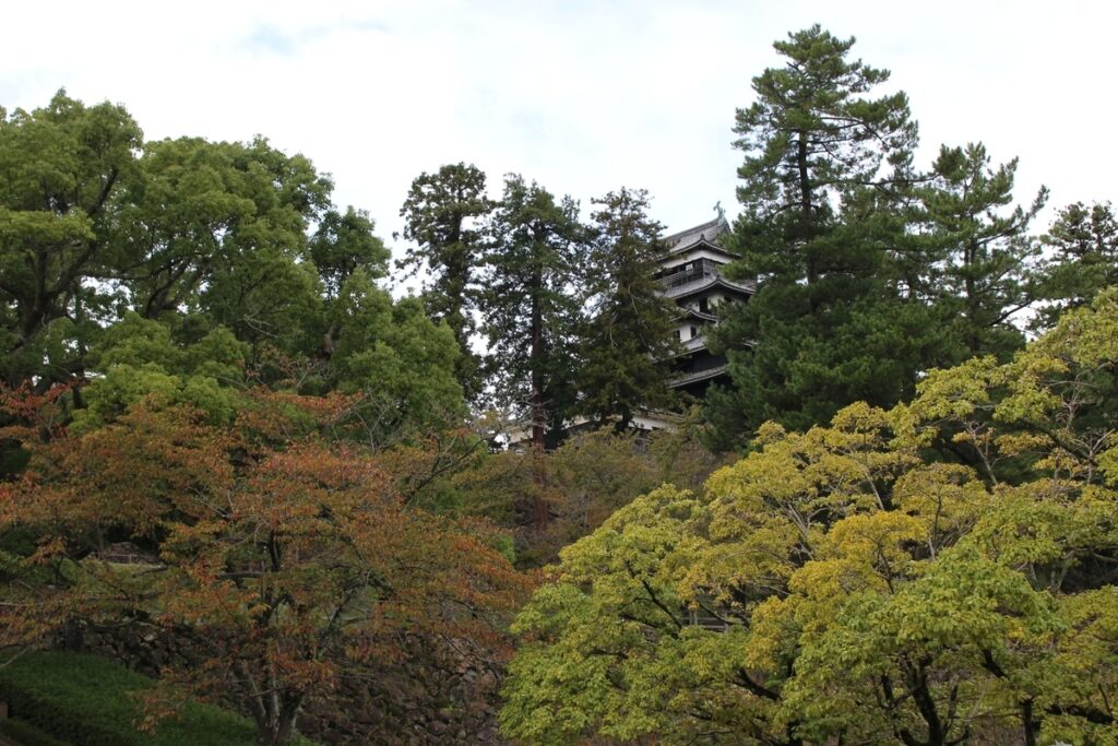 樹々の向こうに見える松江城
