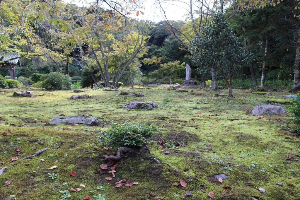 苔むしている