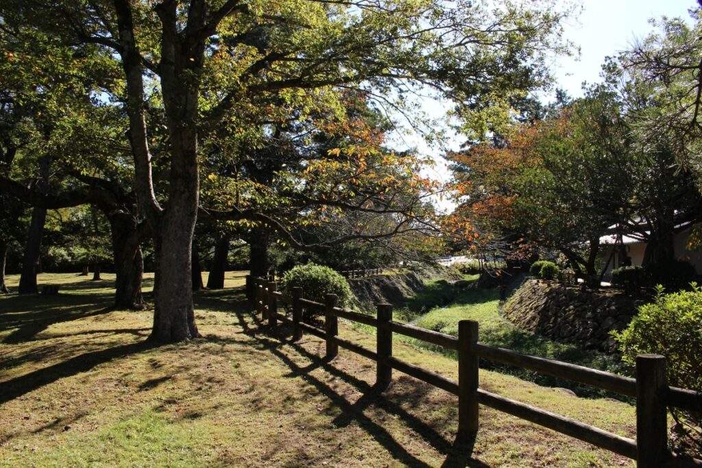 樹々が美しい